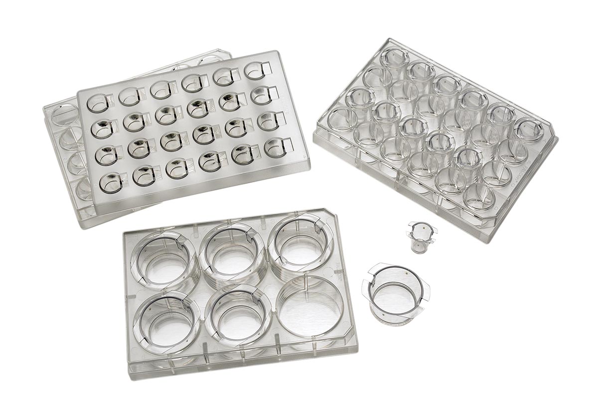 セルカルチャーインサート(48個入) 353091｜GAOS　店 23,572円