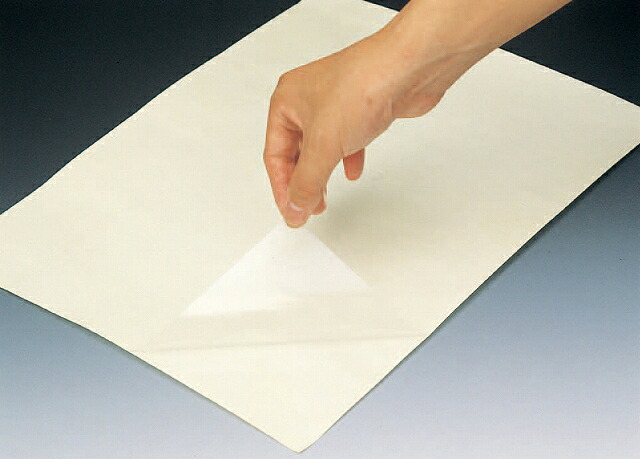 FEP粘着シートフイルム 5008-03 0.05mm&times;1130mm&times;2500mm｜GAOS　店