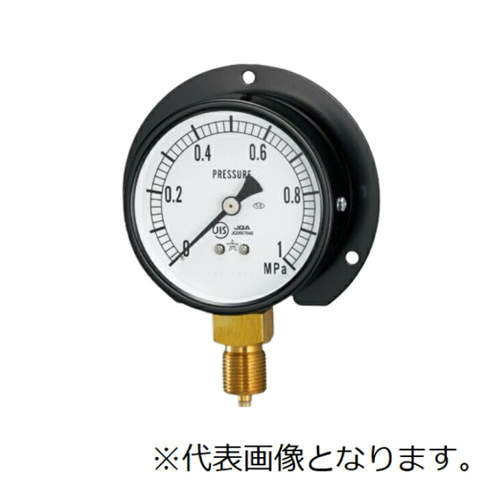 右下精器 一般圧力計 (耐振用) BVT3/8-75X6MPA