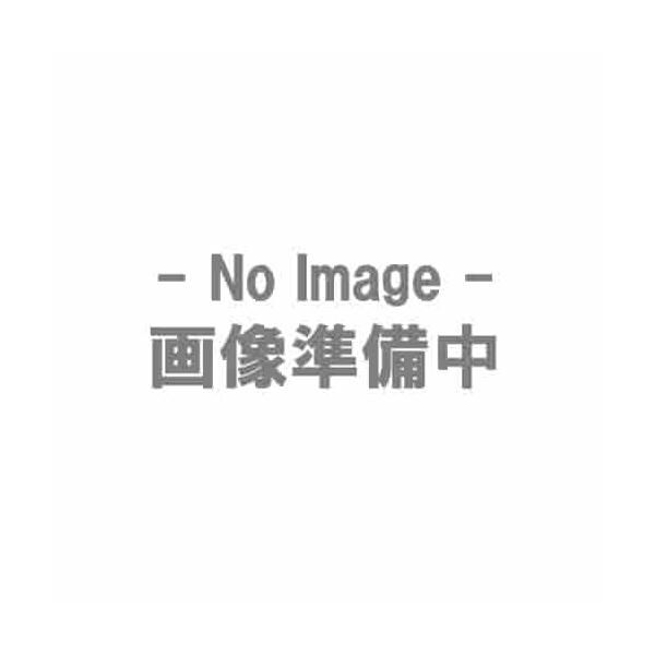 ミドリ安全 踏抜き防止板入り ゴム2層底安全靴 RT731FSSP-4 24.0 RT731FSSP424.0