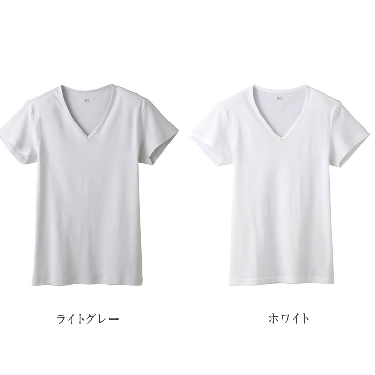 楽天市場 Yv0312 5set 送料無料 5枚セット 汗取りパッド付 Vネックtシャツ V首 短袖 Gunze Ygの涼感シリーズ 綿100 メンズインナー 半袖 Vネック アウターにひびきにくい 薄手インナー スーツにもぴったり 伸縮性抜群 グンゼ 沖縄 離島一部地域を除き送料無料 エッグ