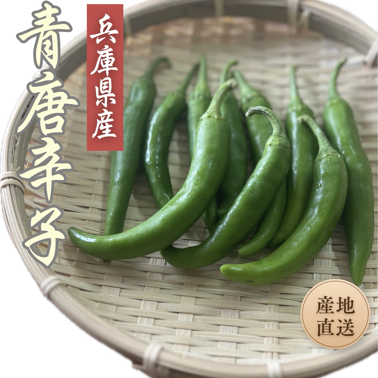 楽天市場】◇産地直送！兵庫県産 青唐辛子 【400g】◇□ 青とうがらし