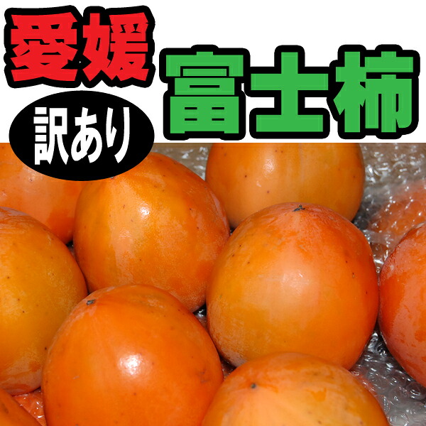 【楽天市場】富士柿 愛媛産 訳あり 10kg 送料無料:愛媛みかんのまるに