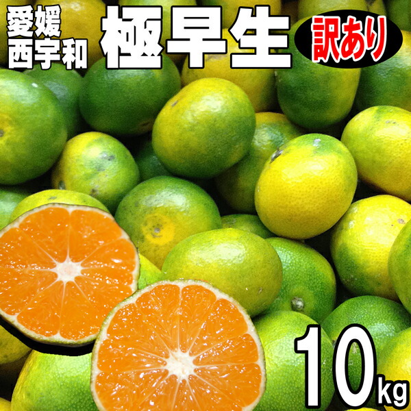愛媛県産柑橘10キロ 楽天市場】【送料無料】訳あり愛媛みかん10kg(南柑20号)10kgM