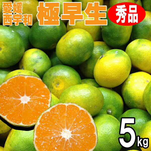 楽天市場】みかん 秀品 5kg 広島 瀬戸田産 早生みかん 秀品