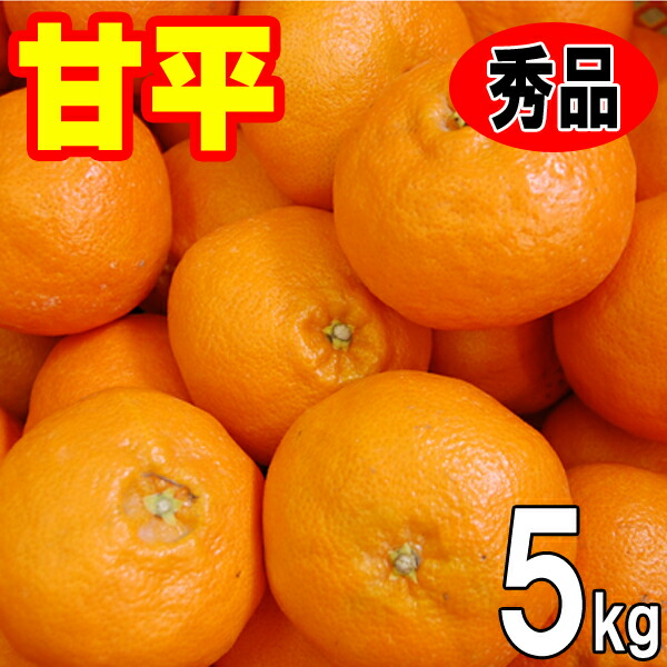 愛媛県産甘平 4Lサイズ 約5kg 楽天市場】甘平 (かんぺい) 大玉 4Lサイズ 8個入り 化粧箱 愛媛