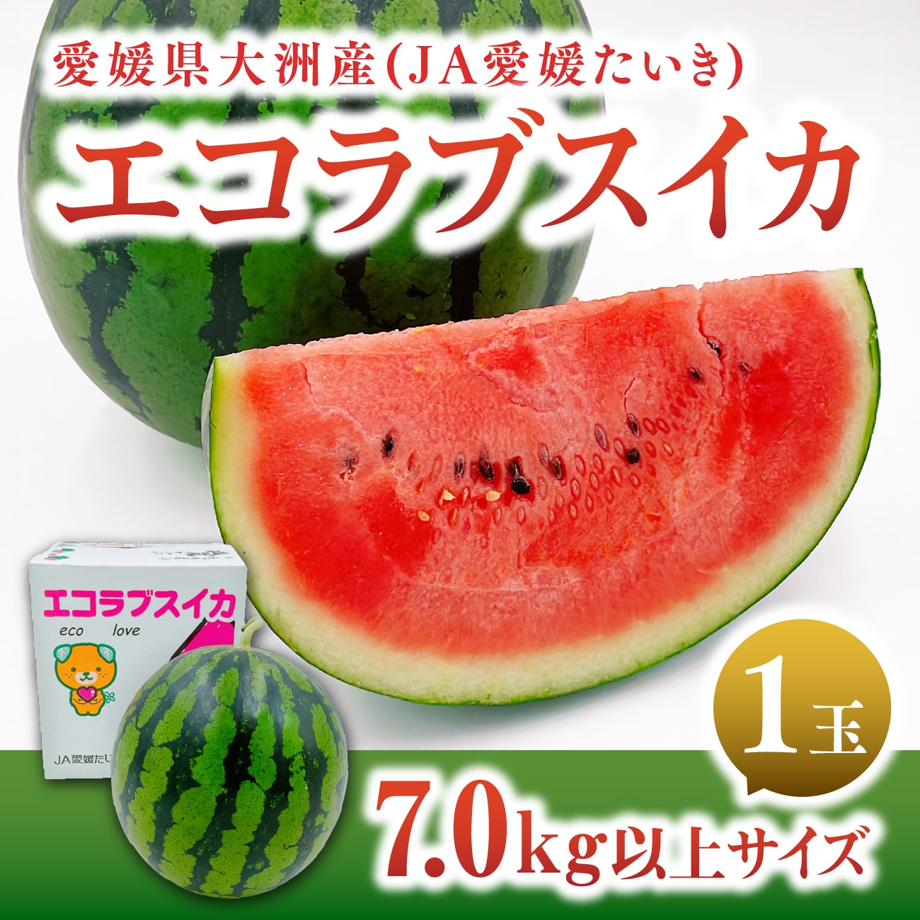 エコラブスイカ  7kg以上 1玉【5月下旬から出荷】｜愛媛県 大洲市産 JA愛媛たいき スイカ  すいか 西瓜 祭りばやし フルーツ くだもの  甘い 減農薬栽培 期間限定 ギフト 贈答用 贈り物 プレゼント 送料無料 父の日