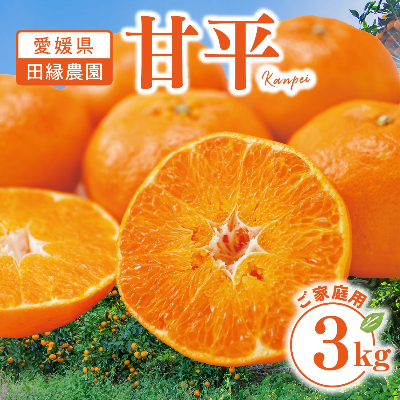 楽天市場】【送料無料】愛媛県産 甘平 5kg 家庭用 【1月下旬〜順次発送