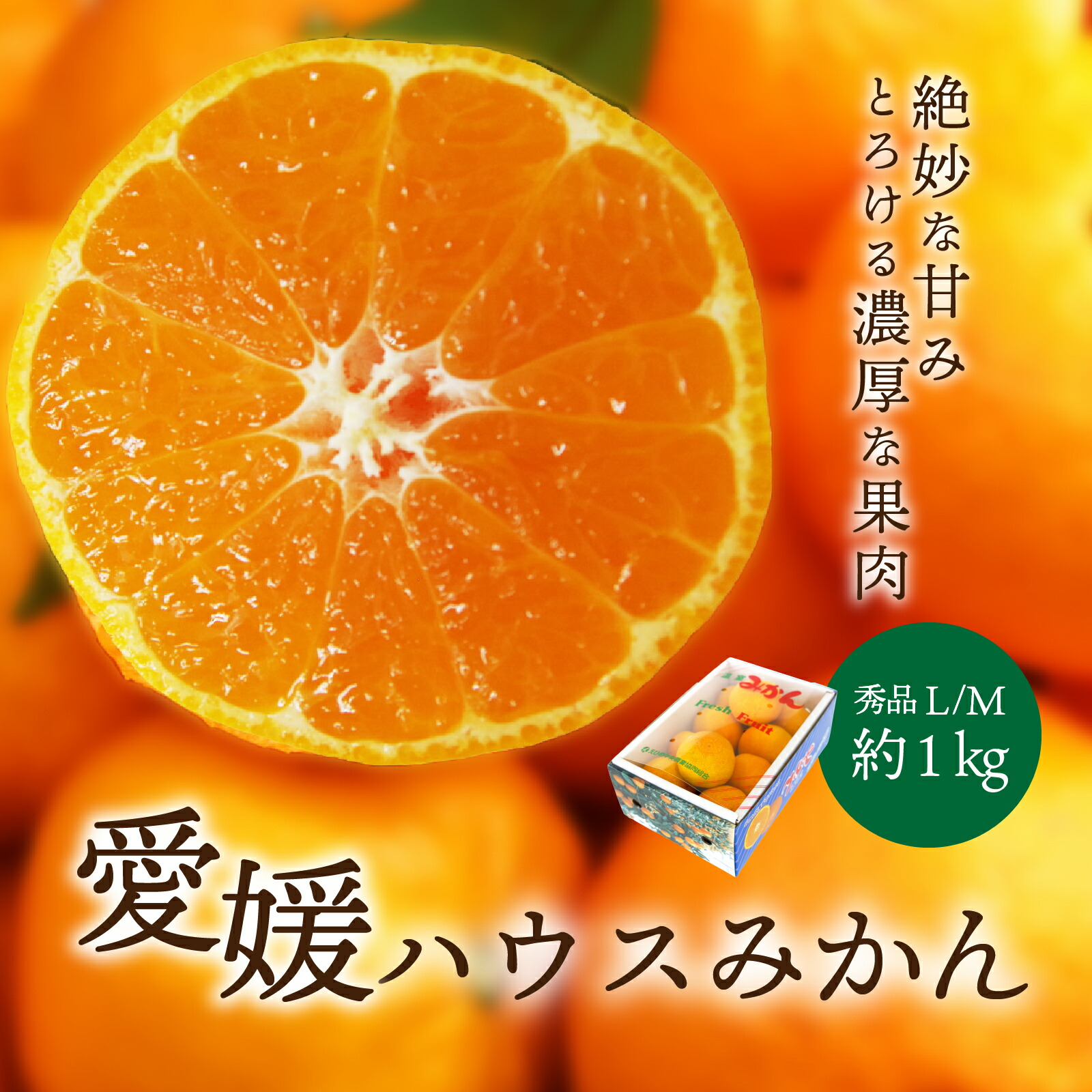 楽天市場】横須賀みかん販売 原田柑橘園完熟ハウスみかんを
