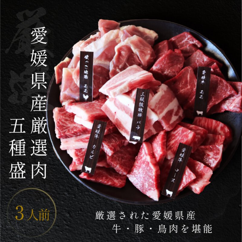 焼肉 愛媛 焼肉セット 3人前 送料無料 ギフト 愛姫牛 和牛 三瓶放牧豚 媛っこ地鶏 愛媛県産 プレゼント 父の日 お中元