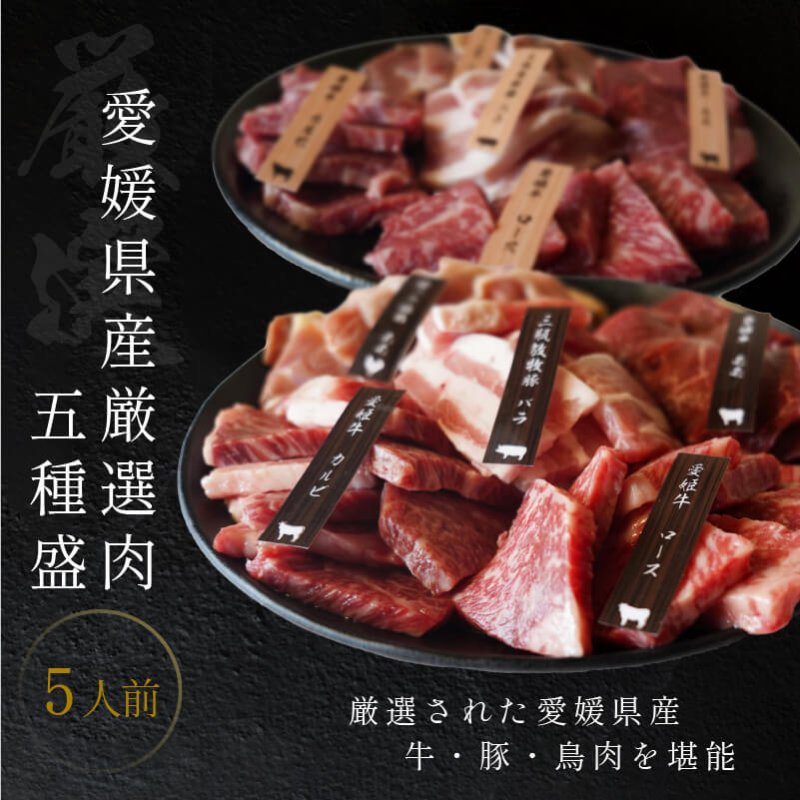 焼肉 愛媛 焼肉セット 5人前 送料無料 贈答 贈答品 愛姫牛 和牛 三瓶放牧豚 媛っこ地鶏 プレゼント 父の日 お中元