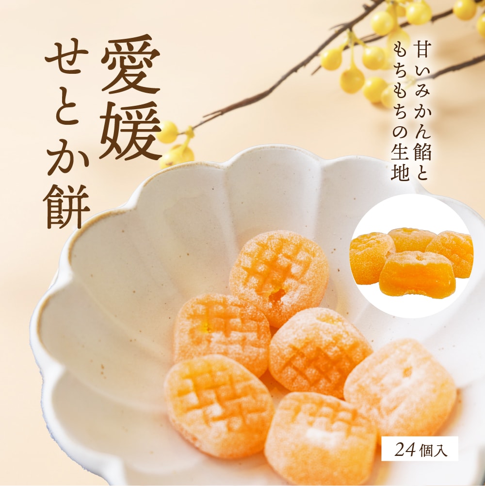 楽天市場】餅 もち 愛媛せとかのきもち 送料別途 愛媛県産 取り寄せ