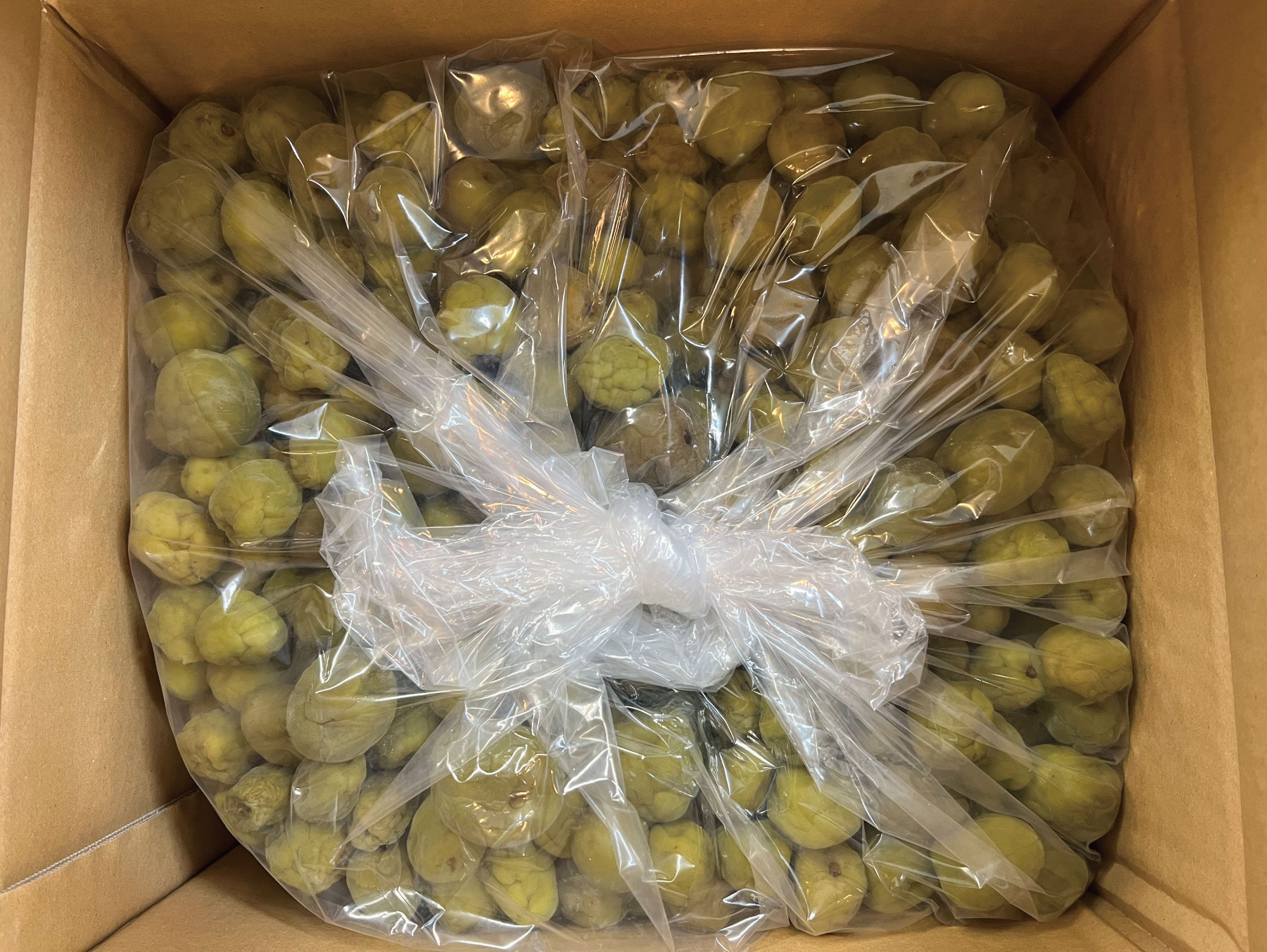 【送料無料】愛媛県産 南高梅 焼酎梅 15kg 1箱 [大容量・クール便お届]
