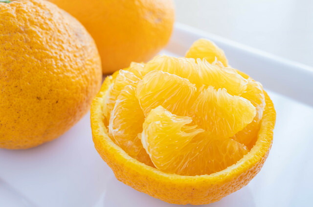 【楽天市場】愛媛県産 家庭用 甘夏 1.5kg+500g(計2kg) 甘夏 愛媛みかん 八幡浜 柑橘の鬼 甘夏：愛媛みかん柑橘の鬼ショップ