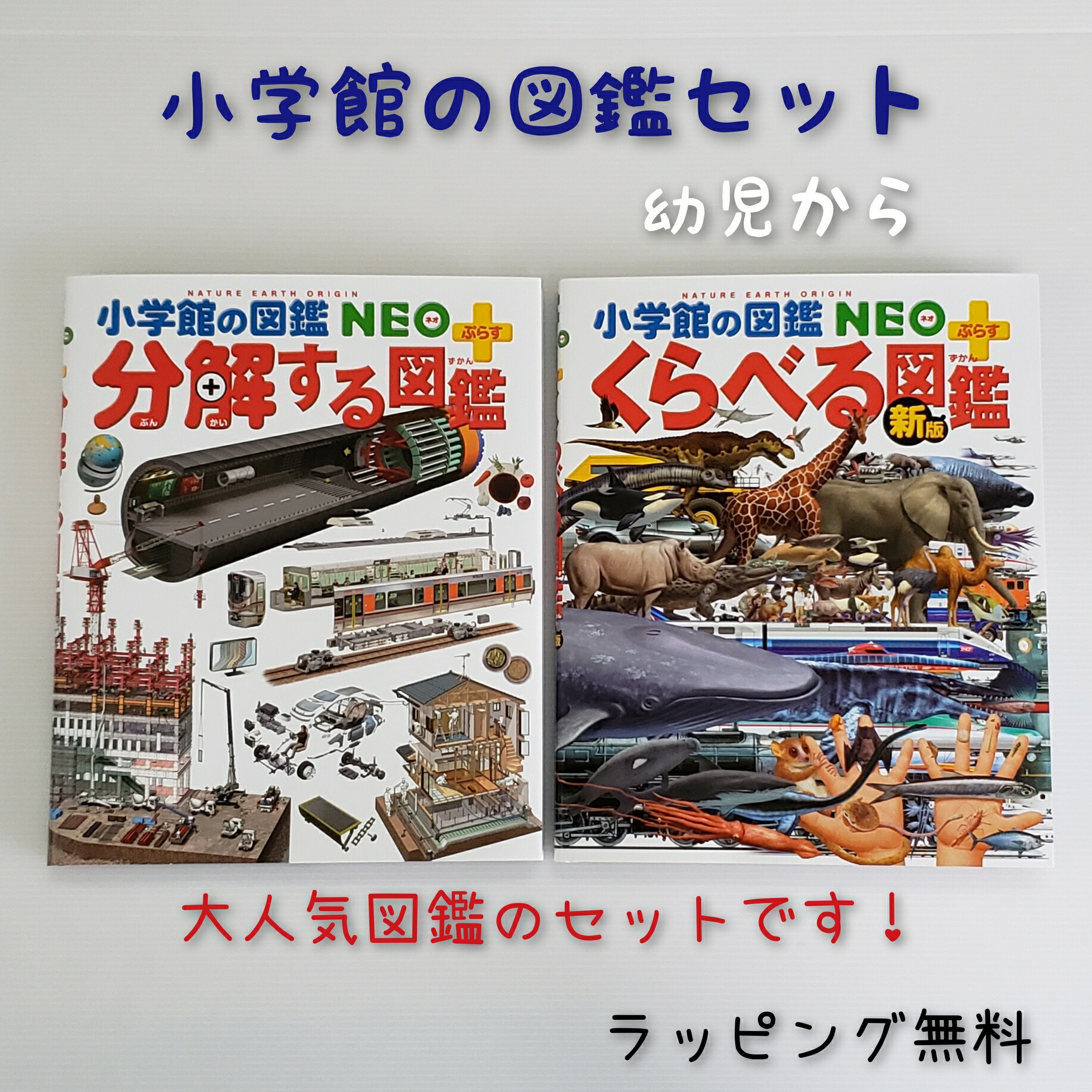 植物』（講談社,天野 誠,斎木 健一）｜講談社