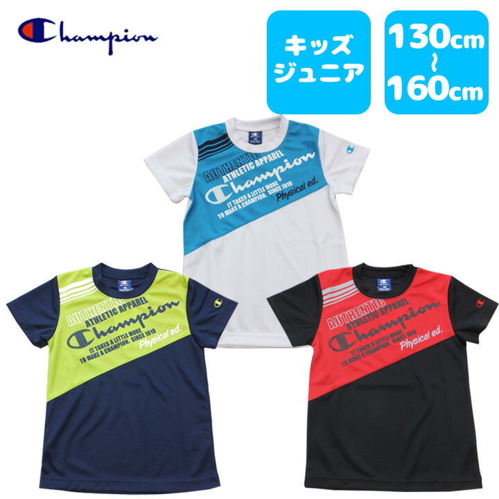 champion 100 t shirt