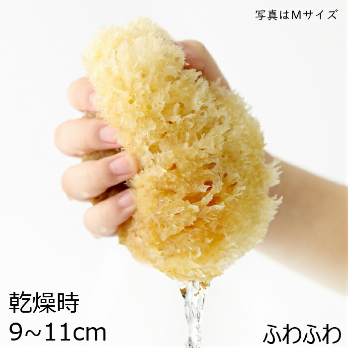 楽天市場】海綿スポンジボディ洗い ボディケア フットケア敏感肌