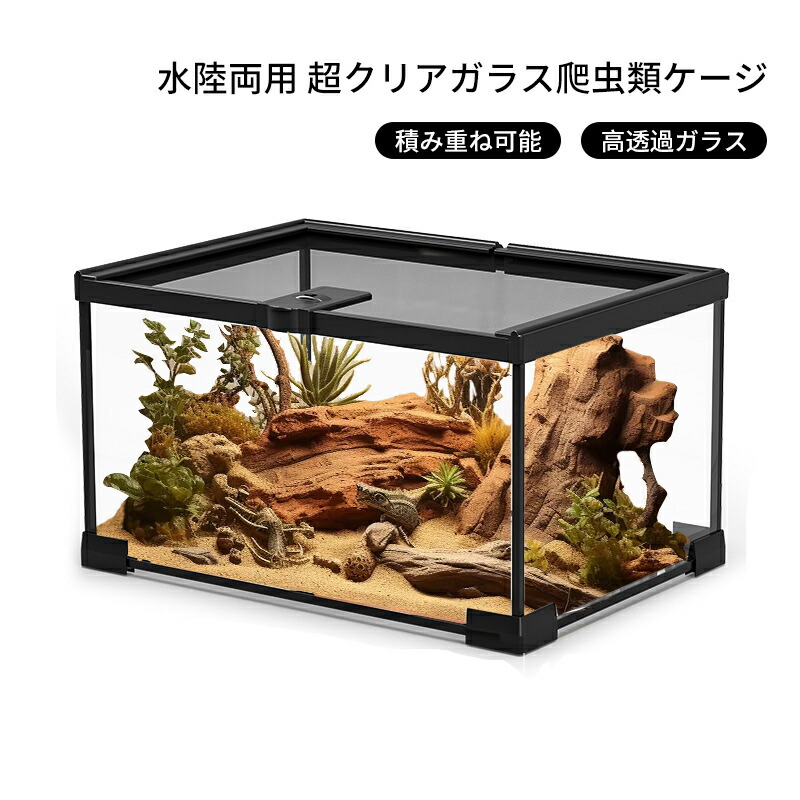 楽天市場】GEX グラステラリウム 4545 爬虫類 飼育 ケージ ガラス