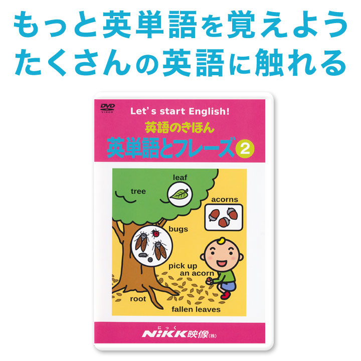 楽天市場】英語 dvd 子供 英語のきほん 基本文と英単語2 【にっく映像 