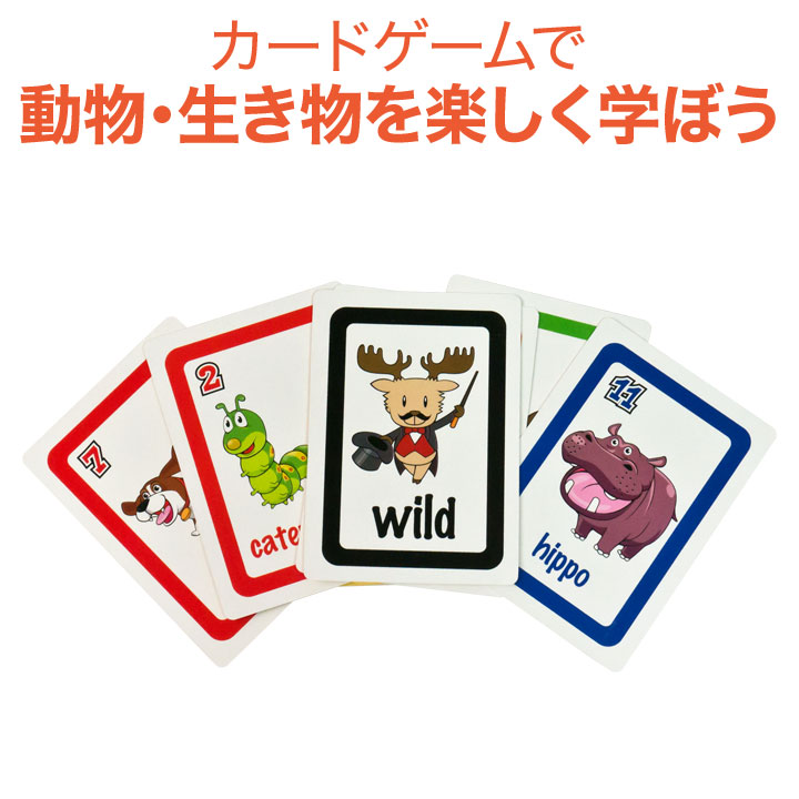 楽天市場 英語教材 Bigger Than Card Game ビッガーザンカードゲーム 動物単語 英単語 カードゲーム メール便送料無料 ネコポス送料無料 家庭学習 自宅学習 家庭 自宅 学習 英語伝 Eigoden