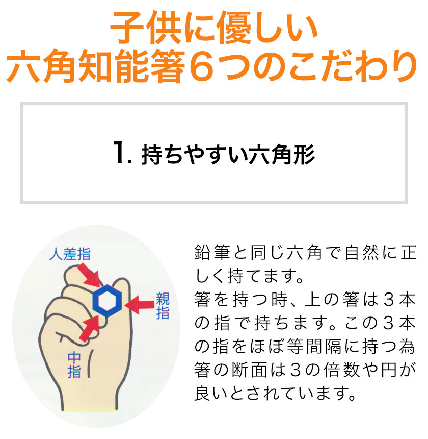 注目ショップ ブランドのギフト 正規品 六角知能箸 日本製 食洗機 対応 おはしのミニブック付 送料無料 正規販売店 せいわ 国産 六角 木 天然竹 子供用 おはし 箸 幼児 子供 お箸 トレーニング 子ども 練習 男の子 女の子 持ち方 箸トレーニング 3歳 4歳 5歳 6歳 幼稚園