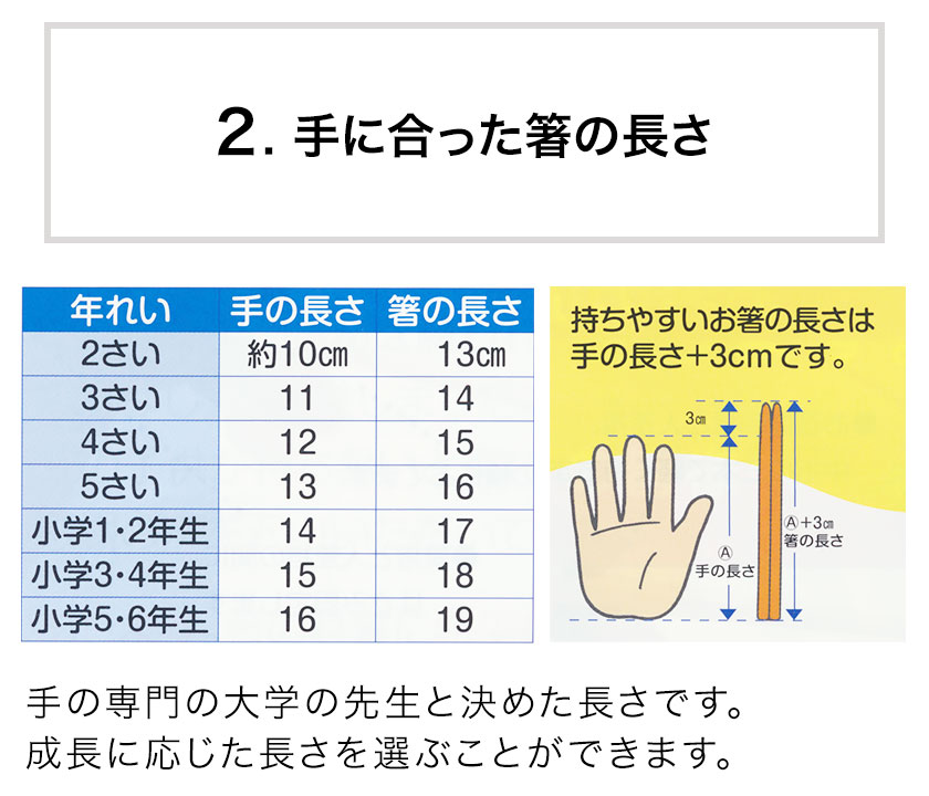 正規品 六角知能箸 日本製 食洗機 対応 おはしのミニブック付 送料無料 正規販売店 せいわ 国産 六角 木 天然竹 子供用 おはし 箸 幼児 練習 4歳 男の子 低価格 5歳 子供 幼稚園 子ども 持ち方 箸トレーニング 小学生 保育園 女の子 トレーニング お箸