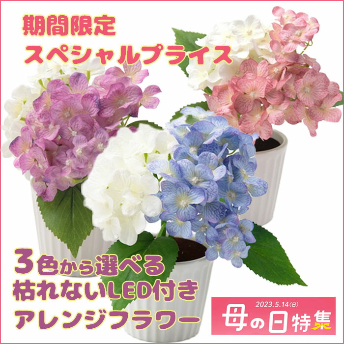 フォルモサフラワーLEDライト付き胡蝶蘭
人感センサー機能 eiko-ya_4994372141293
