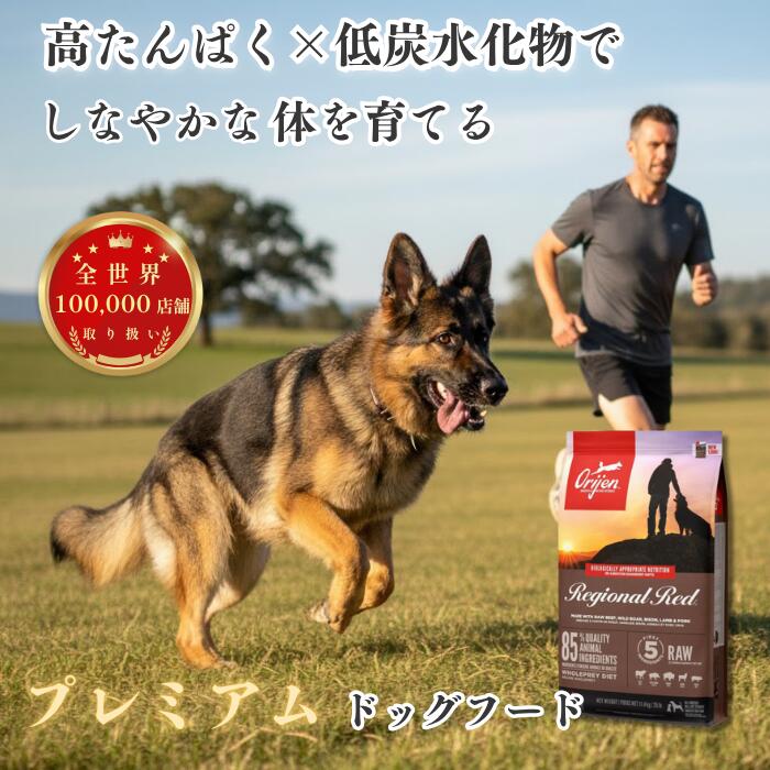 楽天市場】【正規品】オリジン シニア 老犬 2kg 6kg 11.4kg 全犬種