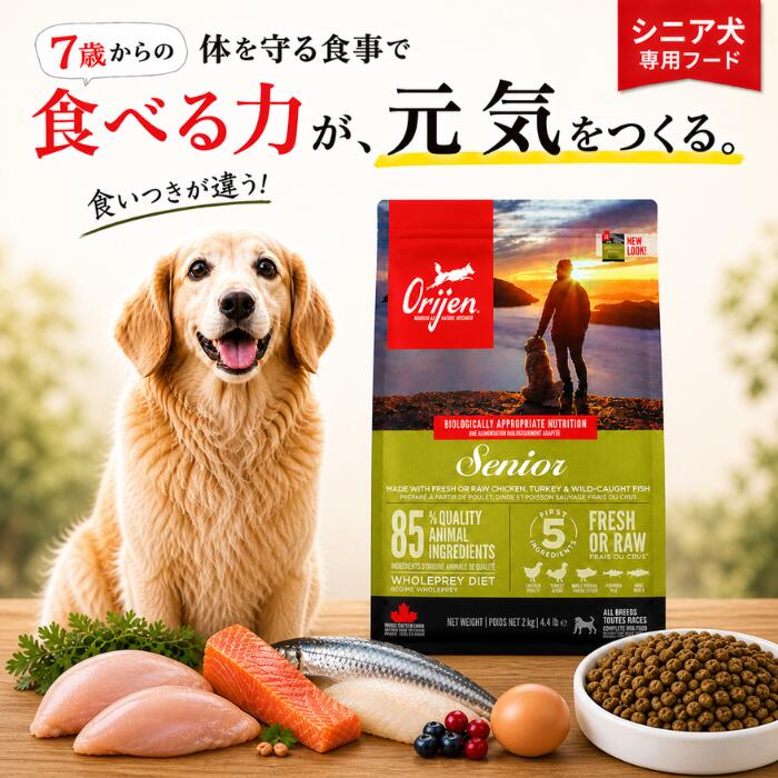 開びゃく 年がしら ドッグフード 2kg 6kg 11.4kg 高タンパク質 無加えること グレインフリー 7歳以上 食いつき思わしい 腕力守りつづける 蝶つがい世話をする 体量管理すること カナダ産 定め事品 Orijen Senior