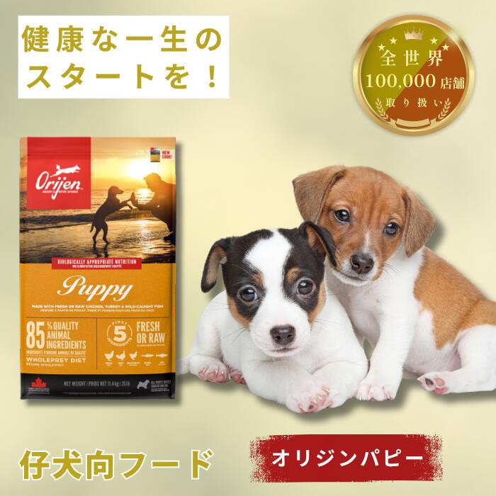 楽天市場】【正規品】オリジン シニア 老犬 2kg 6kg 11.4kg 全犬種
