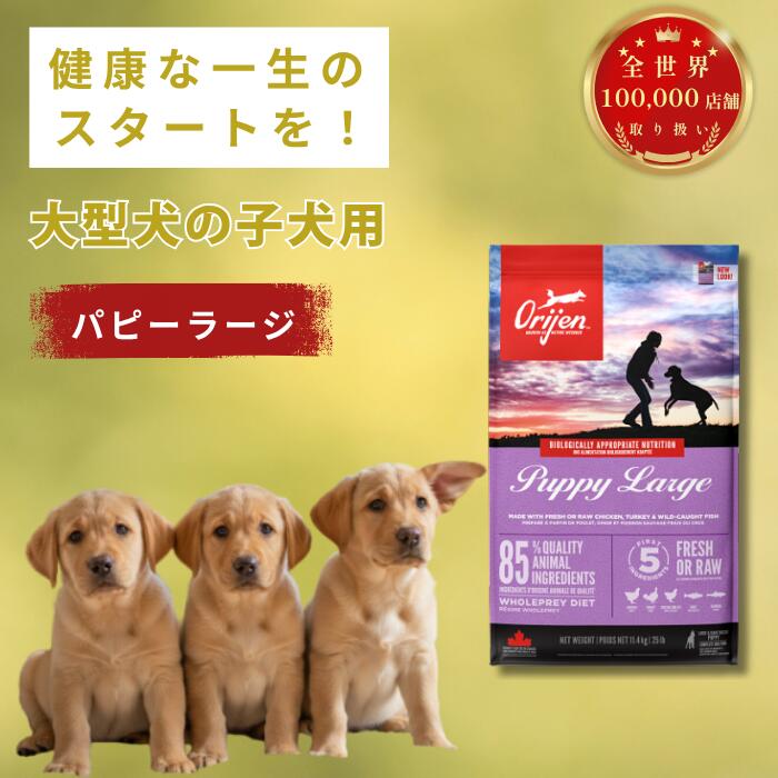 【置き目品】開びゃく パピーラージ 犬ころ用 11.4kgドッグフード 全犬種相応う 高たんぱく グレインフリー 放し飼い鶏 ターキー 生まれながら魚 カナダ製 ORIJEN Puppy Large