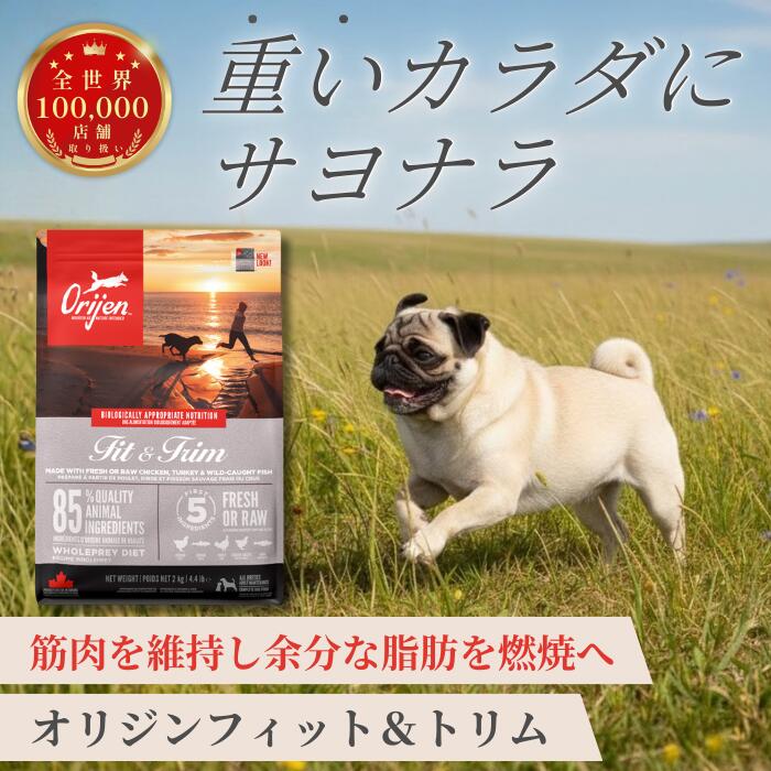 開びゃく 填まる＆刈り込み 2kg 6kg 11.4kg 目あたらしい鶏肉 ターキー 健康状態保護すること 肉付きのよい 食事制限低糖質 グレインフリー 高たんぱくドッグフード カナダ産 思わしい守りつづける 腕力受け支える 低あぶら身 置き目品