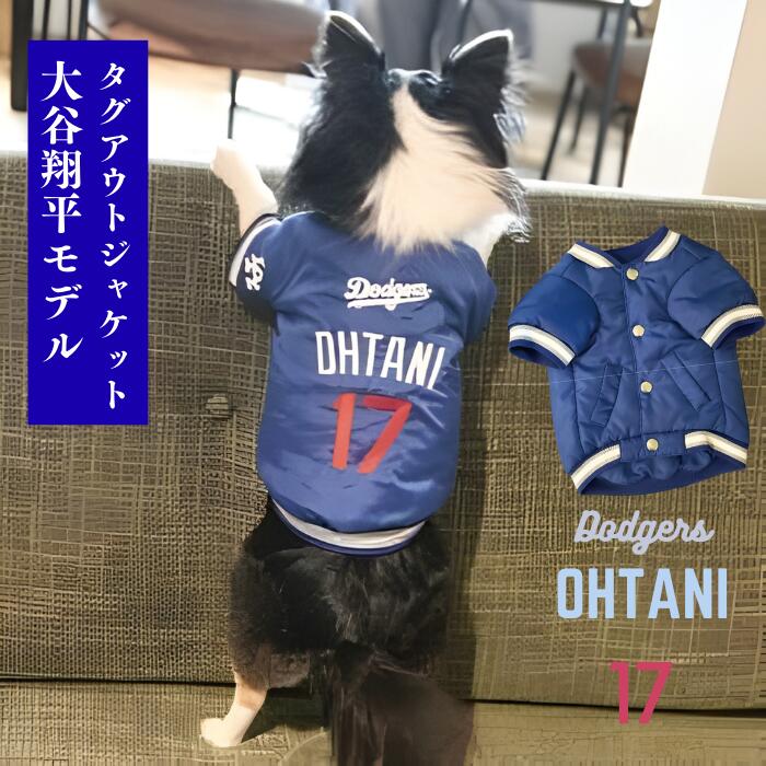 【ココナッツ販売店 全商いもの50円オフ】MLB堅苦しさ 大谷運動選手真似形 愛玩動物 制服 アウター 上衣 冬物 上衣 6大いさ