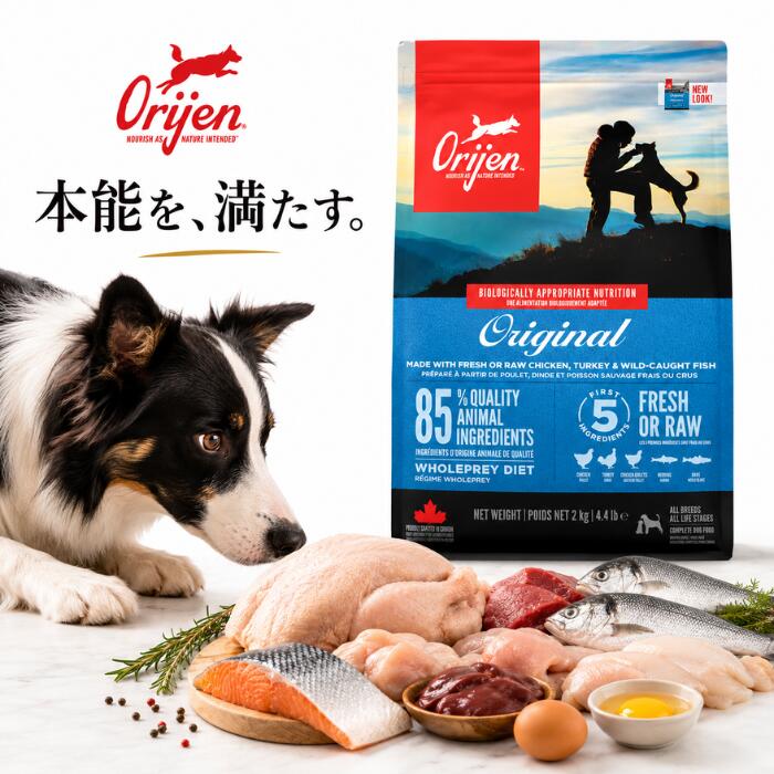 【置き目品】開びゃく 目あたらしい ドッグフード 340g 2kg 6kg 11.4kg 全犬種 全年歳相応う 放し飼い鶏 ターキー 生まれながら魚 平飼い卵当て嵌める 高たんぱくグレインフリー ドッグフード カナダ産ORIJEN Original
