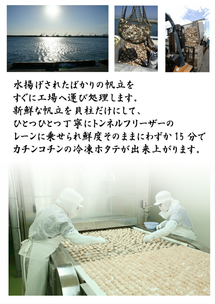 Ts 5000 お中元 お歳暮にピッタリ 詰め合わせ セット 送料無料 贈り物 プレゼント 海鮮ギフト グルメ お取り寄せ オホーツク ホタテ いくら醤油漬け 毛がに Butlerchimneys Com