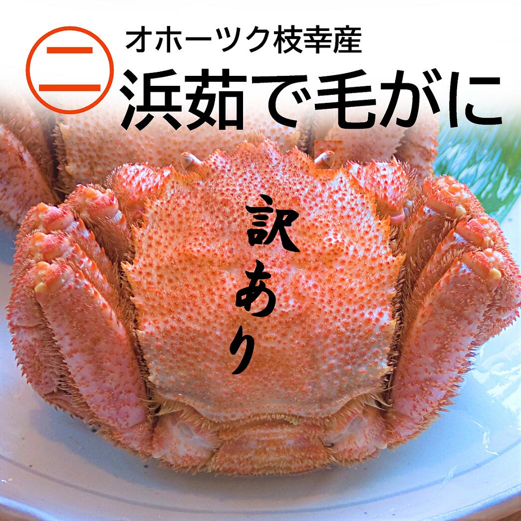 楽天市場 21年 春 北海道産 オホーツク 毛ガニ 食べ応えたっぷり440g入った 冷凍便 毛ガニ 浜茹で お取り寄せグルメ 永光水産 二郎丸