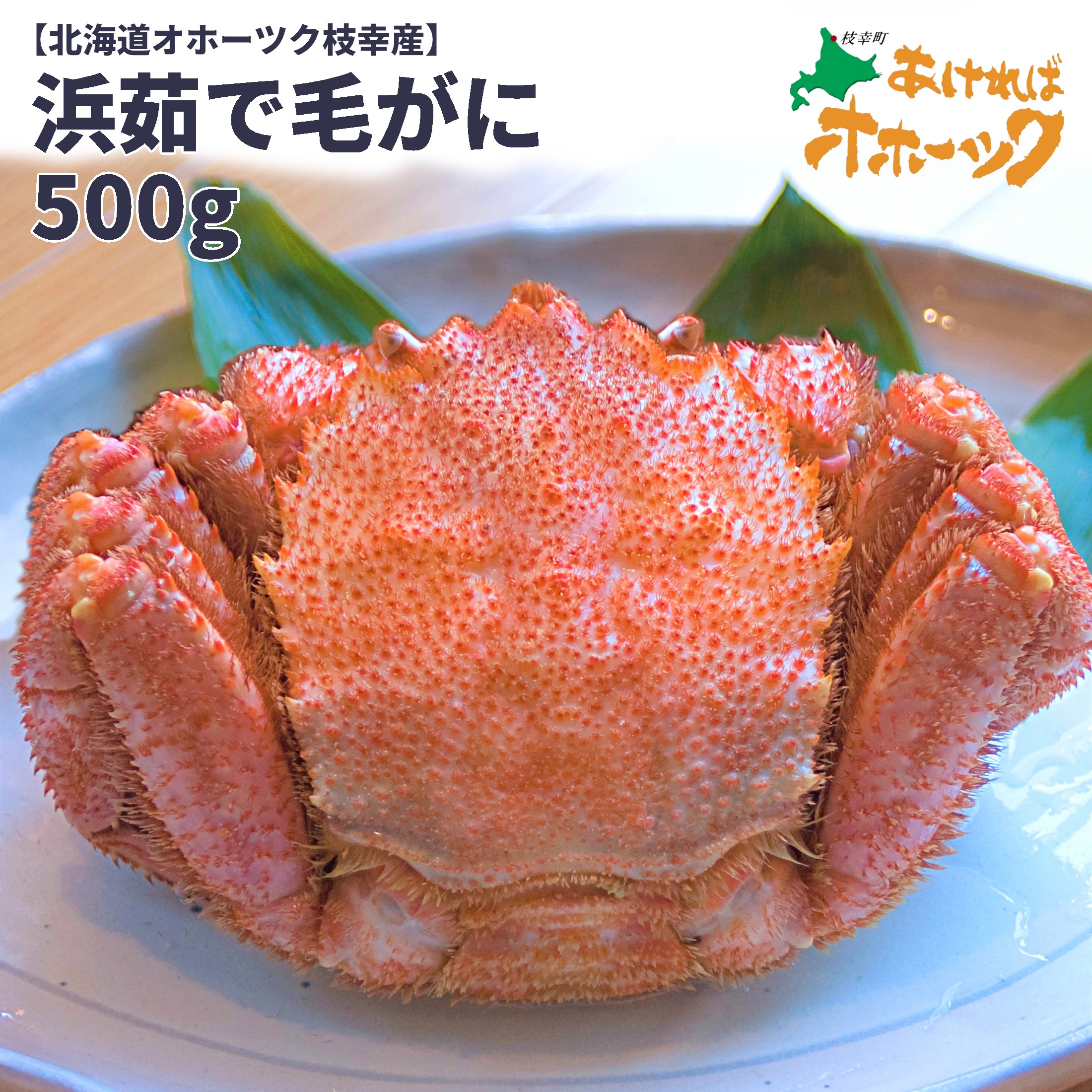 【浜茹で毛がに 500g】春 北海道産 オホーツク 枝幸 毛ガニ 食べ応えたっぷり約500g 冷凍便！毛ガニ 浜茹で お取り寄せグルメ お買い得 セットがお得 御歳暮 贈り物にも 年末 売り切れ 今が買い 送料無料 数量限定｜二郎丸