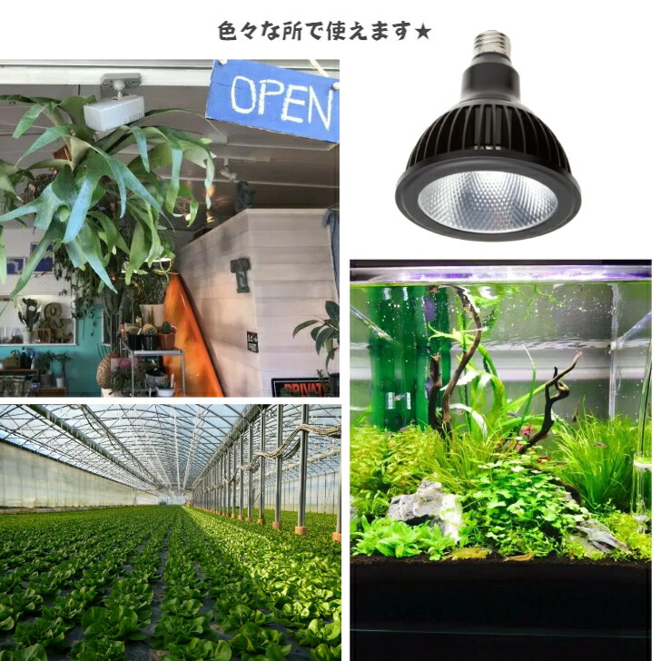大注目】 植物育成LEDライト 太陽光 植物ライト 観葉 植物 育成 室内太陽光LED 20W Ｐa38 ブラック ホワイト vanfis.mx