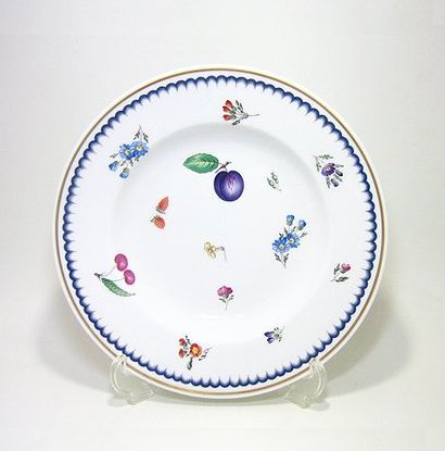 楽天市場】【12/1クーポン・P10】 ジノリ1735／リチャード ジノリ