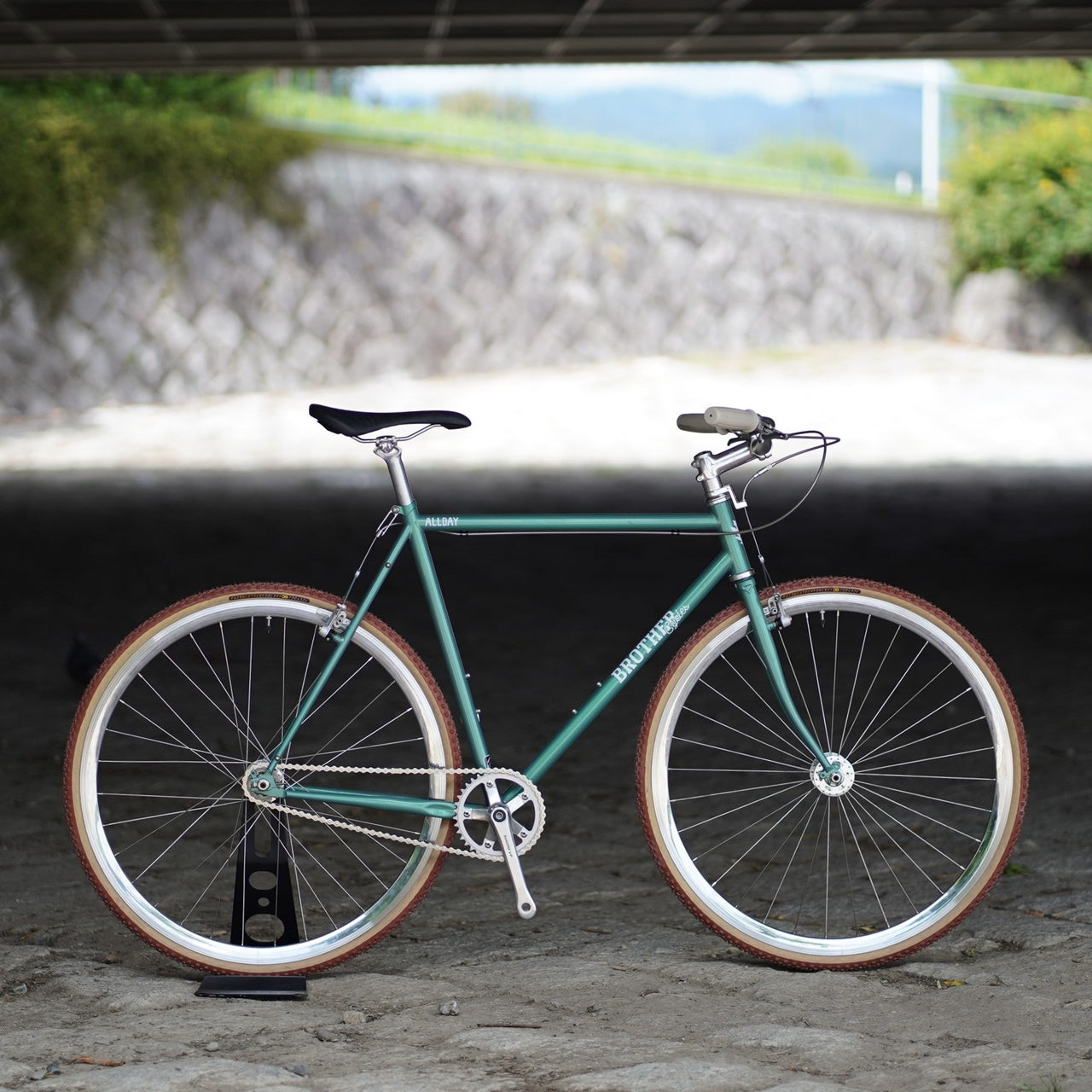 自転車本体 ST.MARTIN 2014 DARWIN BMX Freestyler: St-Martin complete bike : the Darwin