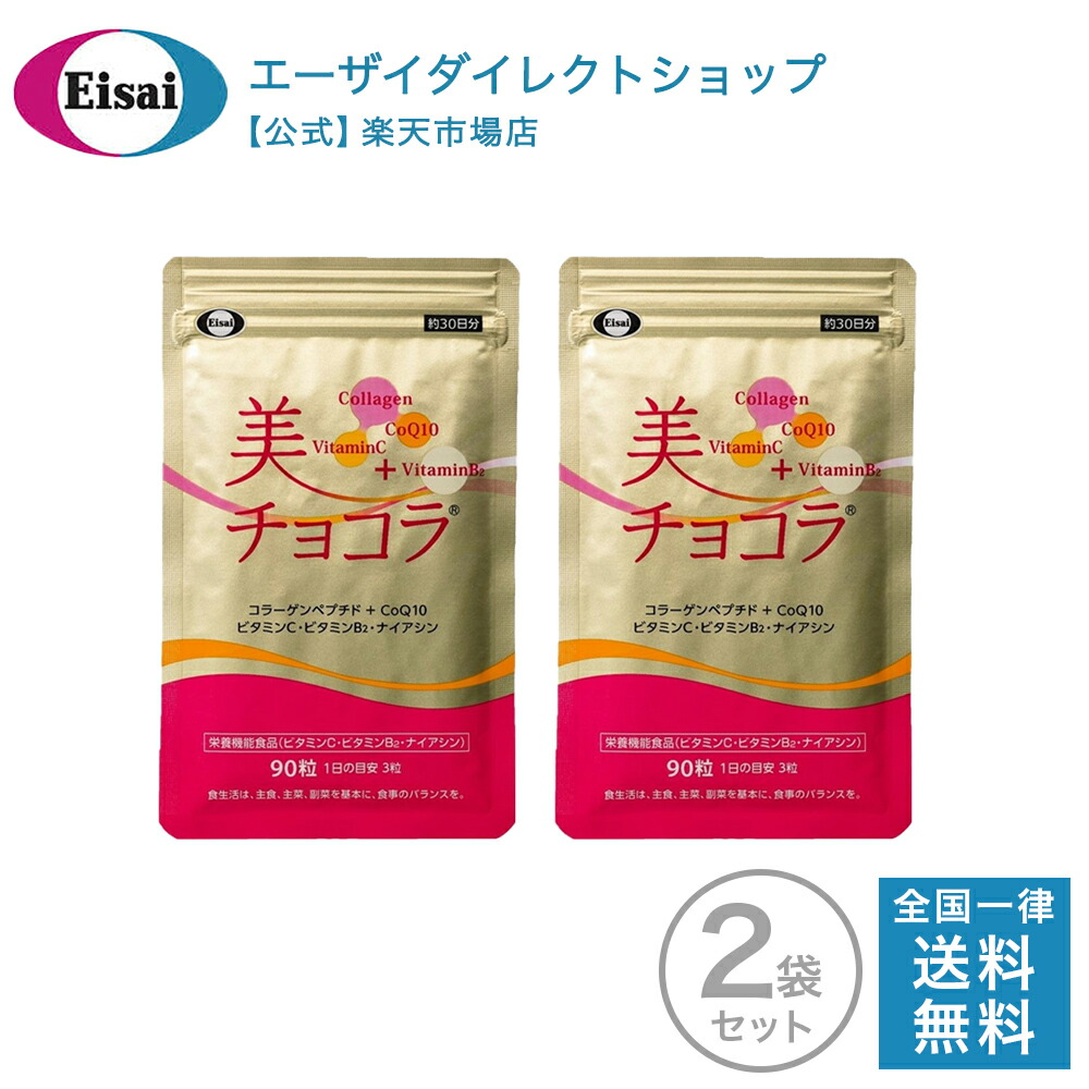 安心の定価販売 】 Eisai 美チョコラエンリッチ120粒２袋 その他