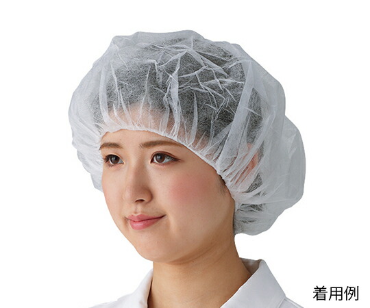 楽天市場】衛生帽子 女性用 1-15 丸天後メッシュ (2-5859-05) (メール ...