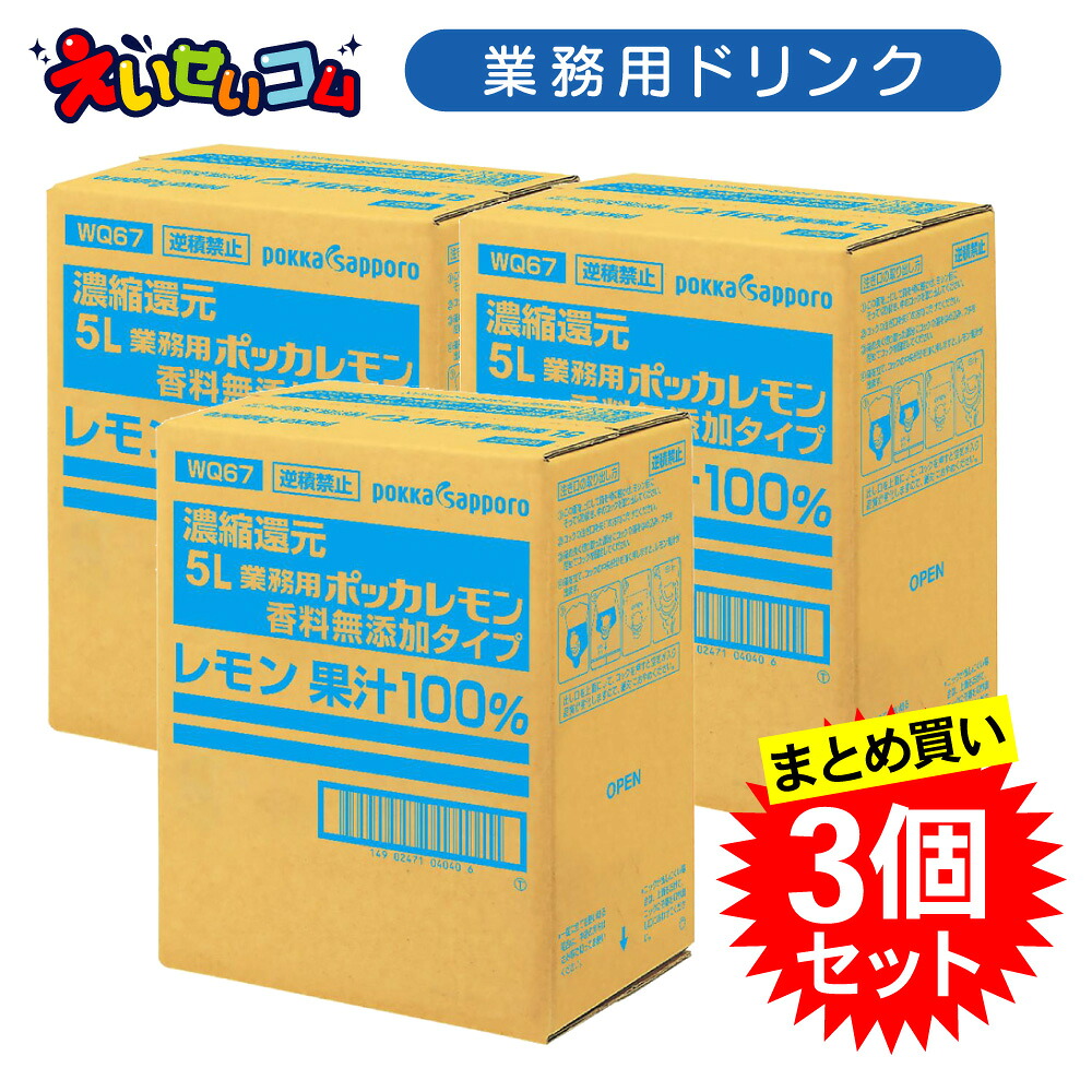 【3個セット】ポッカサッポロ 業務用ポッカレモン 5L 香料無添加タイプ レモン果汁100％ 濃縮還元｜えいせいコム 店