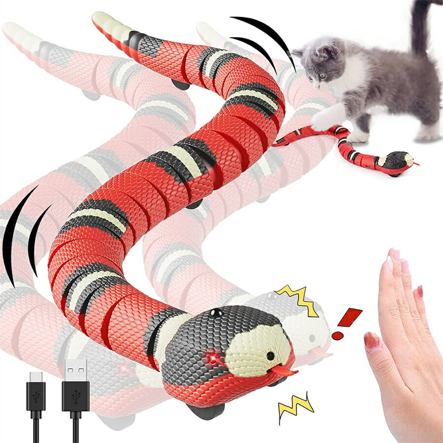 ヘビと猫 sddefault.jpg