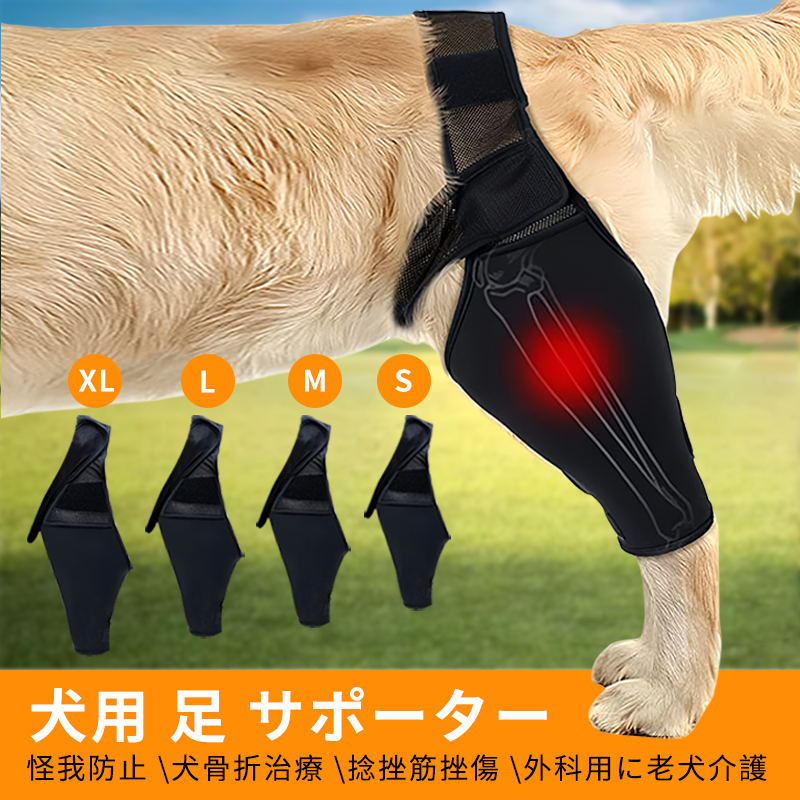 楽天市場】【anifull 公式】 アニサポ ヒップ 小型犬向け