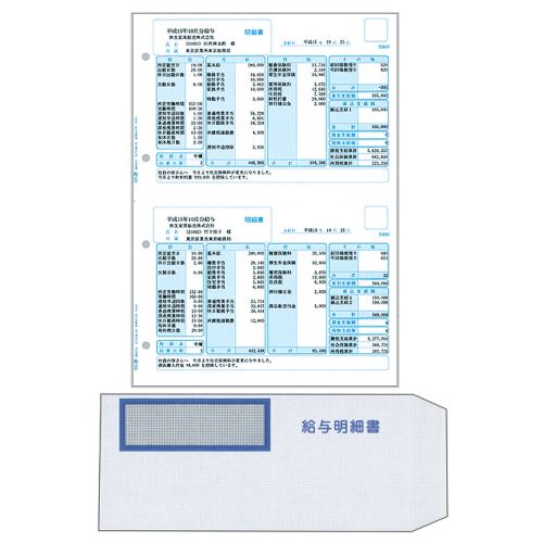【送料無料】【個人宅届け不可】【法人（会社・企業）様限定】給与明細書・専用窓付封筒セット　1箱(300セット)｜ｅジャパン