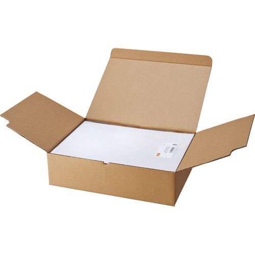 【送料無料】【個人宅届け不可】【法人（会社・企業）様限定】各種プリンタ対応ラベル　業パ　A4　2面　210×148.5mm　1箱(500シート:100シート×5冊)