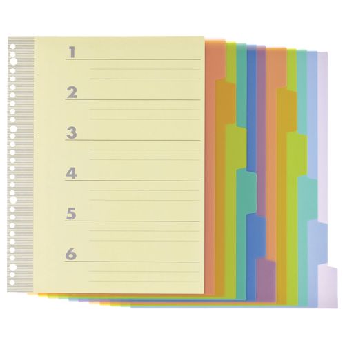 【送料無料】【個人宅届け不可】【法人（会社・企業）様限定】インデックス(PP)　A4タテ　2・4・30穴　6山2組　1セット(20パック)【イージャパンモール】