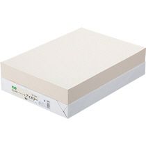 【送料無料】【個人宅届け不可】【法人（会社・企業）様限定】αエコカラーペーパーII　B4　アイボリー　1セット(2500枚:500枚x5冊)【イージャパンモール】