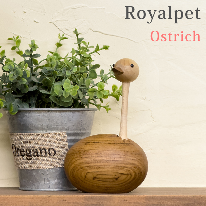 楽天市場】[5%OFFクーポン] Royalpet Ostrich デザイナーズ リ